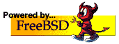 FreeBSD The Power Of Serve